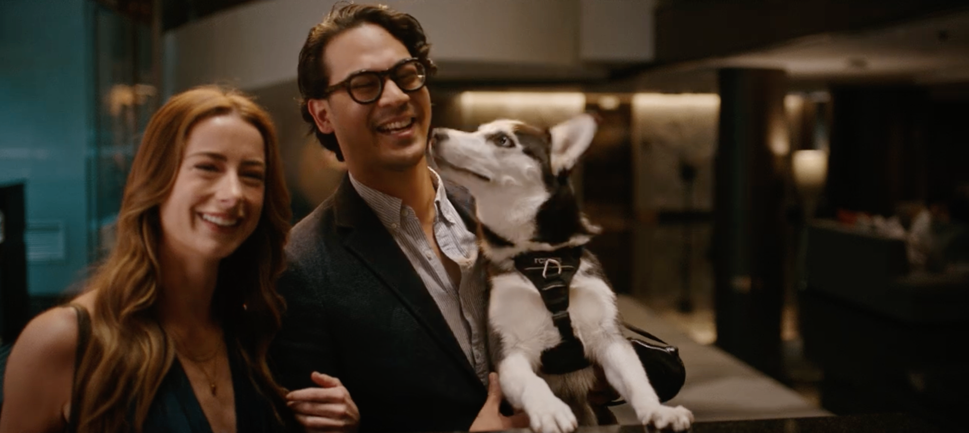 Paradox lifestyle image of a smiling couple with a dog in the hotel lobby.