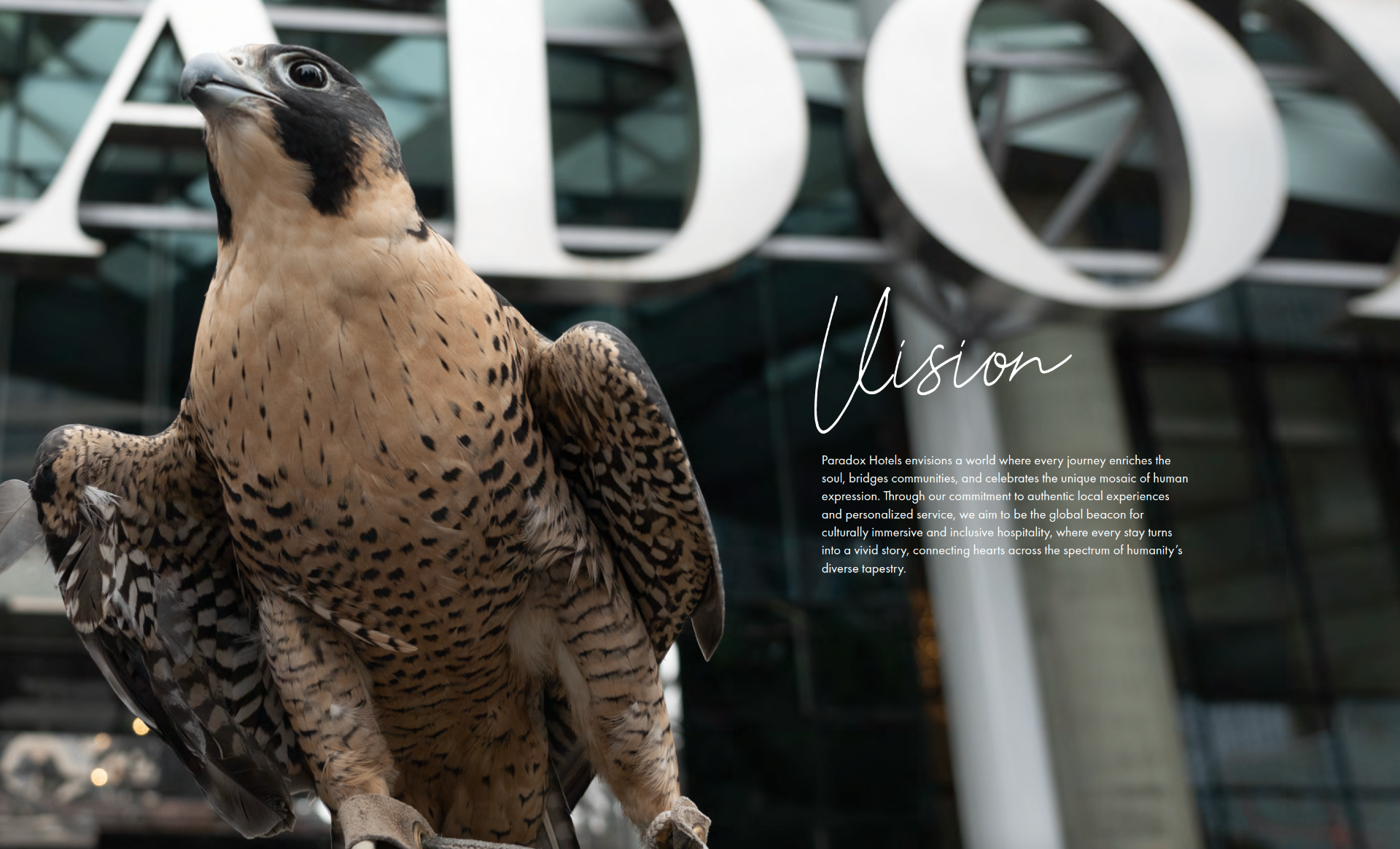 Paradox vision spread featuring a falcon in front of the hotel signage with handwritten Vision headline.
