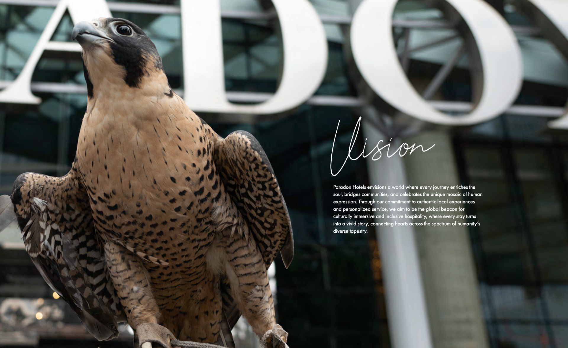 Paradox vision page showing a falcon visual and brand narrative overlay.